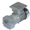 Bison 017-175-0025 Gear Motor 1/12 Hp 63 RPM 230/460V 60/50HZ.