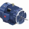 GT3530A Marathon 30 Hp 3600 RPM 575V 286JP Frame (Rigid Base) TEFC 3-Phase Close-Coupled Pump Motor