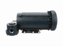 119441.00 Leeson 1 1/2 Hp 1800 RPM 230/460V 56C Frame TEFC Explosion-Proof (Rigid Base) 3-Phase Motor -Electric Motor Warehouse Store 41 side 52430.1642608077