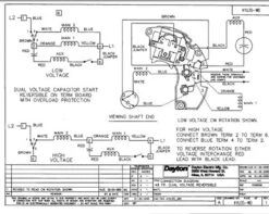 Model 4YU35 Dayton 3/4 Hp Belt Drive Blower Cap Start Motor 1725 RPM 115/208-230V Dayton 4YU35 -Electric Motor Warehouse Store 4YU35WIRE 22963.1463165941