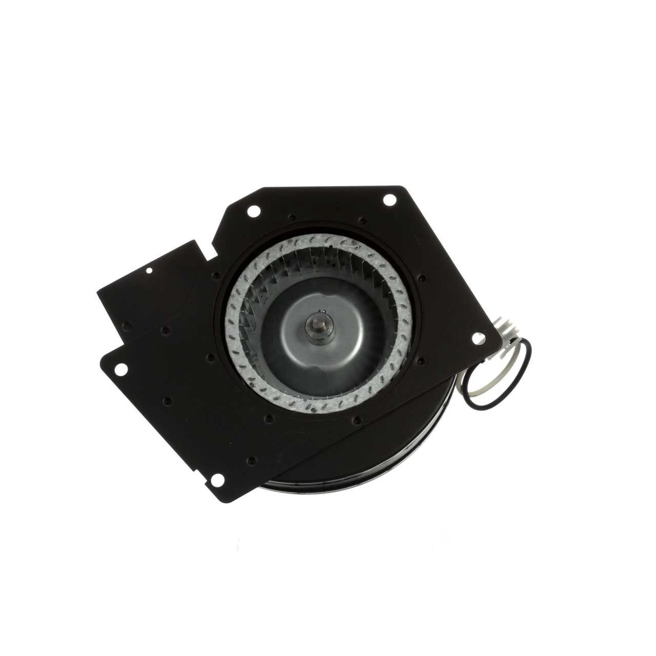 Fasco A080 Williamson Furnace Draft Inducer Blower 115 Volts 2 Fasco A080 Williamson Furnace Draft Inducer Blower 115 Volts - Image 2