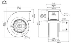 Replacement For Dayton Blower 1TDR6, 4C006 Direct Interchange -Electric Motor Warehouse Store PTDR6 DIMS 54903.1696965057