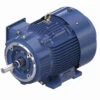 GT3236A Marathon 50 Hp 3600 RPM 575V 326JM Frame (Rigid Base) TEFC 3-Phase Close-Coupled Pump Motor