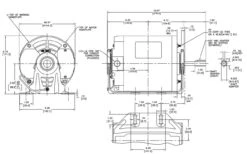 ARB2034L1 Century 1/3 Hp (2 Speed) 115V 1800/1200 RPM TEAO 56Z Frame Split Phase Resilient Base Motor -Electric Motor Warehouse Store l1 line 60134.1633025921